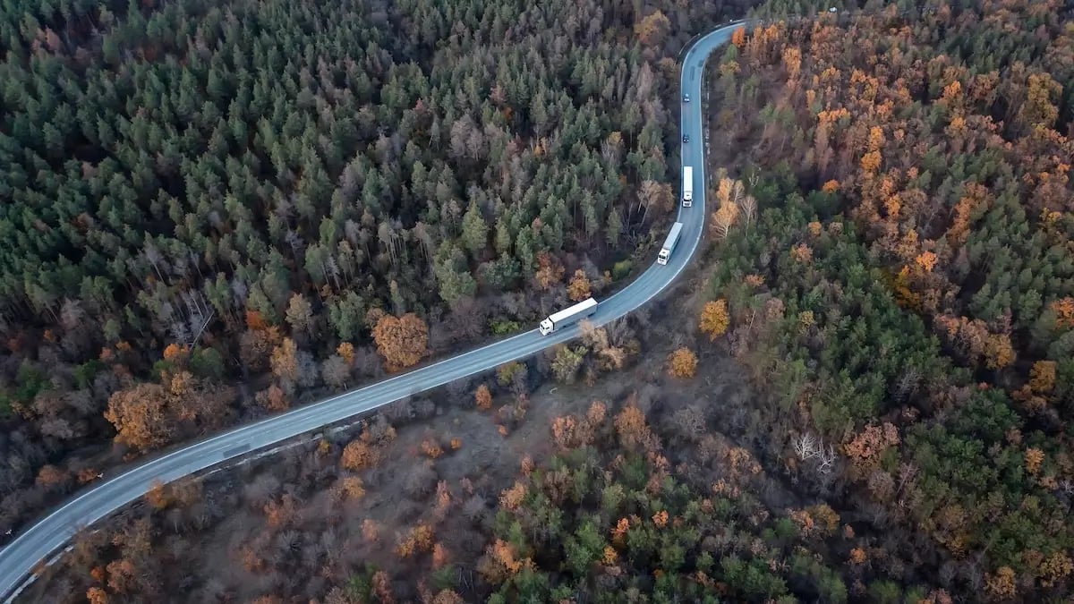 Vogelperspektive von E-Lkw die auf einer kurvigen Bergstrasse durch einen Wald fahren
