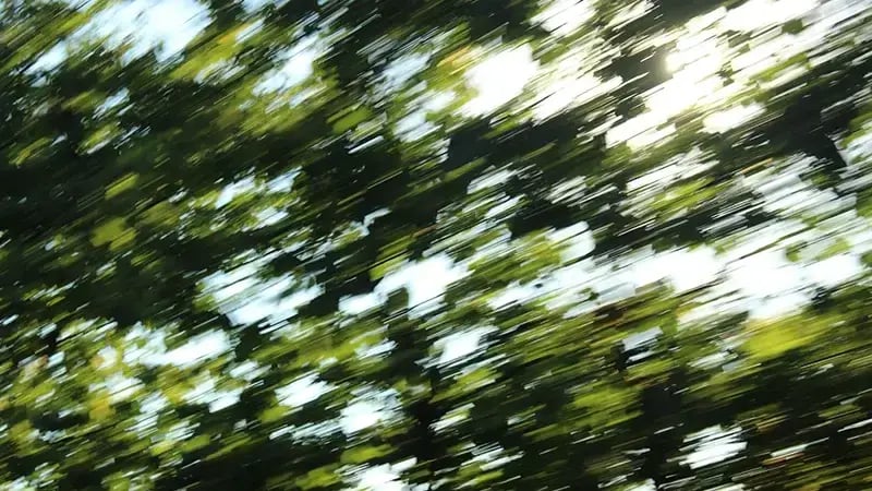 Motion blur of green trees and sunlight creating a dynamic abstract background