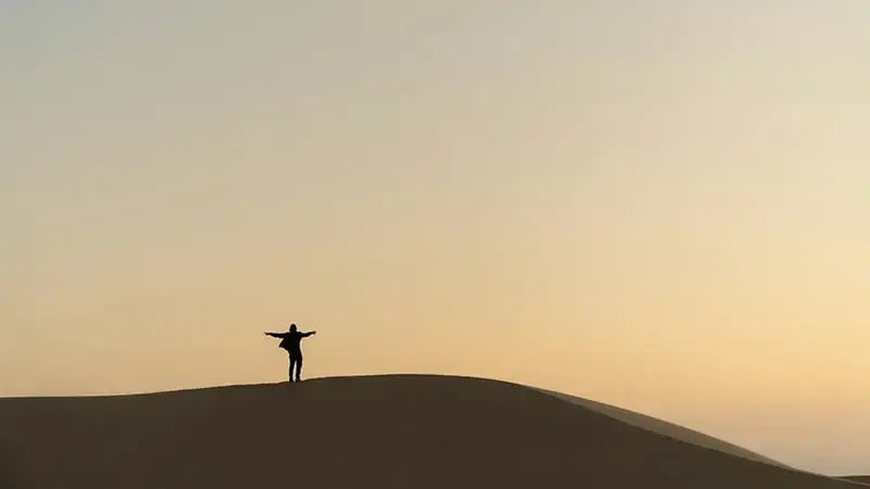 Silhouette of a person standing on a sand dune at sunset